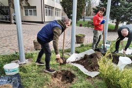 �� ��Ӳһ ���������� �� ������� ������