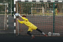 ������ ����������� �� ���