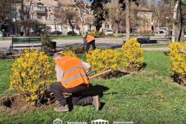 ˳�������� ��������� �������