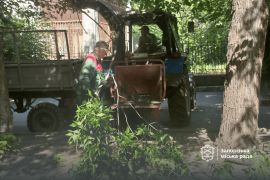 ������������ ��������������� ����