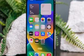 ������� ��������: ���� ����� ������ �������� iPhone 13 Pro Max ����� �����