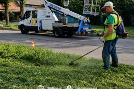 � ���������������� ������ �������� ������ �����
