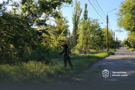 �������� ����� 65 ������� ������� ���