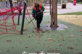 �� ��������� ���������� �������������� ������