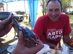 ������� ��������. ��� ���� ����!!!