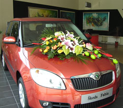 Scoda Fabia  