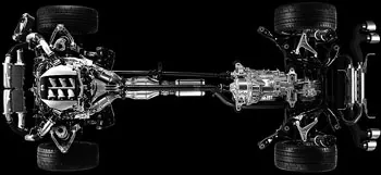 ��� �����. ��������. ���������