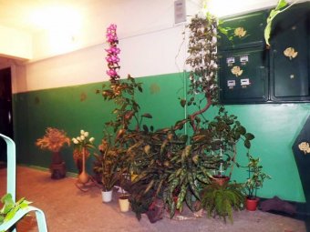 ������������ ��� � ��������