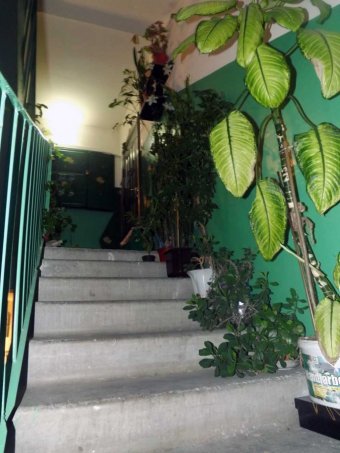 ������������ ��� � ��������