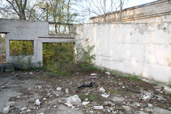   11:   